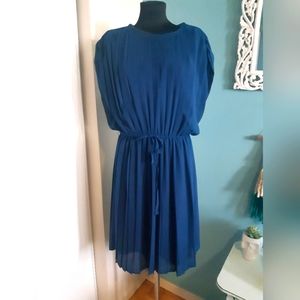 Pleated Zara dress